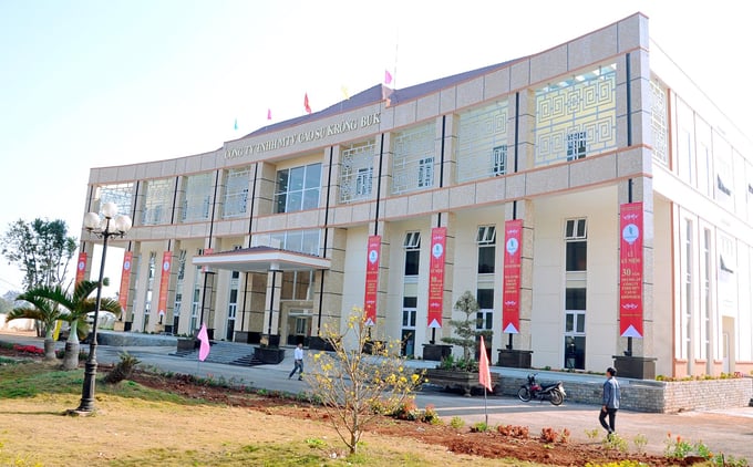 Công ty Cao su Krông Búk vững bước trong gian khó 
